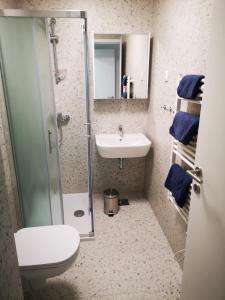 a bathroom with a shower and a sink and a toilet at City center apartment in Koper