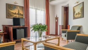 TV a/nebo společenská místnost v ubytování Hotel Tihany Átrium
