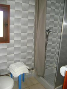 y baño con ducha y aseo. en Le H de SERNHAC, en Sernhac