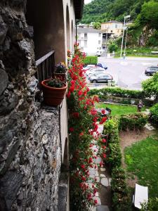 een rij rode bloemen op een muur bij Affittacamere Casa Archi in Losone