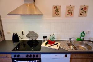 a kitchen counter top with a sink and a stove at 110 qm Ferienwohnung Stadtvilla Halberstadt - Dem Tor zum Harz in Halberstadt +28 photos