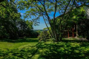 a tree in the grass next to a house at Le Refuge aux étoiles in Saint-Antonin