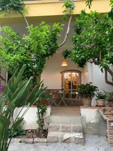 a garden with trees and stairs in front of a house at Il giardino dei limoni in Suvereto