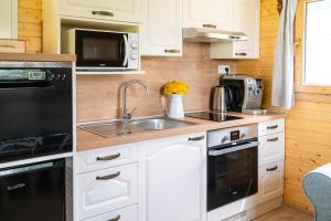 A kitchen or kitchenette at Salaš Syrex