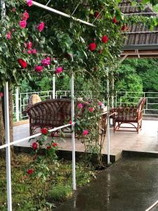 a patio with two chairs and roses at Villa Elita - Bela Crkva in Bela Crkva