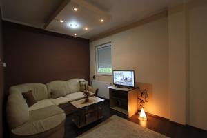 Una sala de estar con un sofá y un televisor. en Apartmani Kovacevic, en Zlatibor