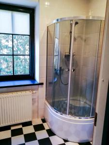 a shower in a bathroom with a checkered floor at Cinnamon villa in Palanga +73 photos