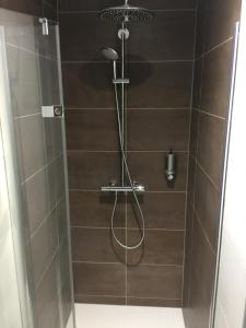 a shower with a shower head in a bathroom at Le Riesling Colmar centre Charmant appartement avec terrasse et parking gratuit in Colmar +45 photos