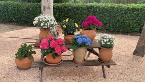 Vonkajšia záhrada v ubytovaní Villa Kentia Mallorca, charming and stylish country house close to Palma