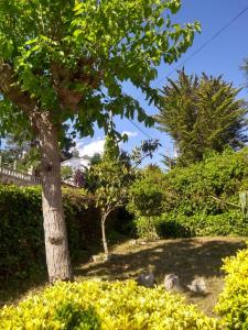 Zahrada ubytování Villa Ingrid Costa Brava