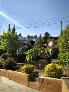 Zahrada ubytování Villa Ingrid Costa Brava
