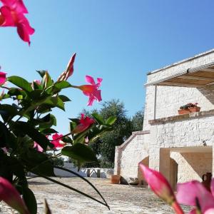 Gallery image of Pietra Pesara in Locorotondo