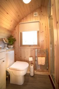 a bathroom with a toilet and a window at Suil na Mara Pod in Lochinver