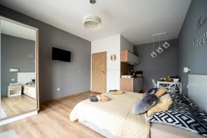 Televízia a/alebo spoločenská miestnosť v ubytovaní Apartament Perła Pienin
