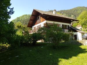 a house in the middle of a green yard at Chalet Tante Emma in Vacheresse