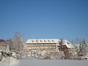 Hotel Walkner v zimě