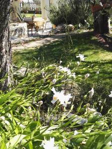 Afbeelding uit fotogalerij van Terre Di Garlenda in Garlenda