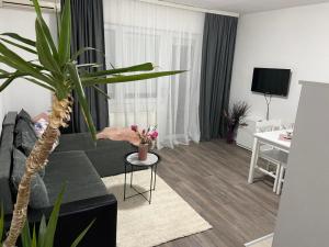 a living room with a couch and a table with a plant at Apartman Aleksic in Jagodina