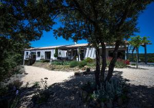 ein Haus mit einem Baum davor in der Unterkunft Maison d'hôtes Thym et Chocolat in Générargues