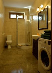 uma casa de banho com um chuveiro, um WC e um lavatório. em Apartamenty Generalskie em Borne Sulinowo