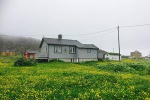 a house sitting in a field of yellow flowers at Grandfathers house at the end of Europe, Varanger in Havningberg