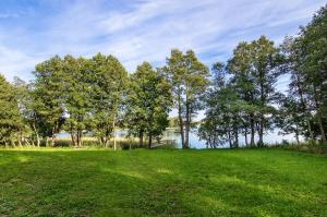 ein Grasfeld mit Bäumen im Hintergrund in der Unterkunft Sauna with the Private Lake Access in Molėtai