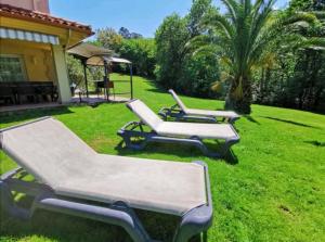 a group of lounge chairs sitting in the grass at villa Santa Ana in Laredo