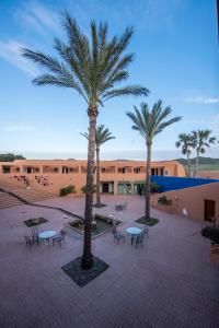 un patio con mesas y palmeras frente a un edificio en Hotel de Naturaleza Rodalquilar & Spa Cabo de Gata en Rodalquilar