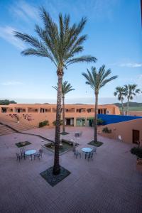 a courtyard with tables and palm trees in front of a building at Hotel de Naturaleza Rodalquilar & Spa Cabo de Gata in Rodalquilar