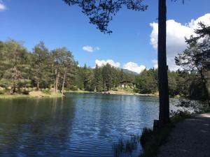 Príroda v okolí apartmánu