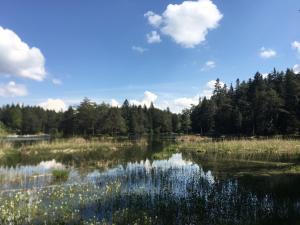 Príroda v okolí apartmánu