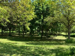 park z zieloną trawą i drzewami w cieniu w obiekcie Hotel Milleluci w Aoście