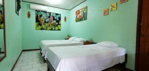 Dos camas en una habitación con paredes verdes. en Red Frog Rooms, en Fortuna