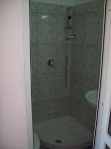 エフォリエ・スドにあるRaulのバスルーム(シャワー、トイレ、洗面台付)
