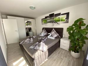 a bedroom with a bed and a potted plant at Bella Luna in Überlingen