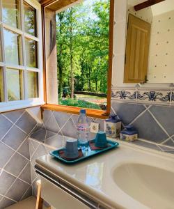 lavabo con botella de agua y espejo en Les Vieux Guays, en Cerdon