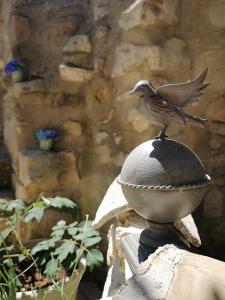 Fotografie z fotogalerie ubytování Au Clos des Anges v destinaci Saint-Jean-de-Maruéjols-et-Avéjan