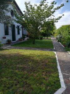 a house with a tree in the yard at Casa Pianta in Cavallino-Treporti