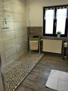 baño con ducha y puerta de cristal en Ferienwohnungen Stadtgeflüster en Cochem