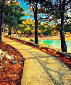 a path in a park with trees and water at Apartment Brđanović in Cres