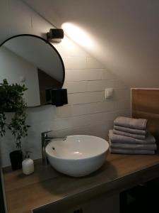 a bathroom with a white sink and a mirror at Studio apartman HANA in Drežnik Grad