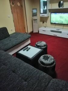 TV a/nebo společenská místnost v ubytování Nik-rom