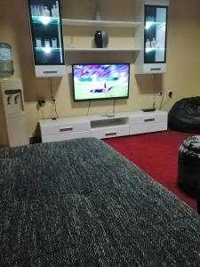 TV a/nebo společenská místnost v ubytování Nik-rom