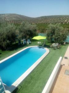 Jarata的住宿－4 bedrooms house with private pool enclosed garden and wifi at Montilla Cordoba，院子里游泳池的形象