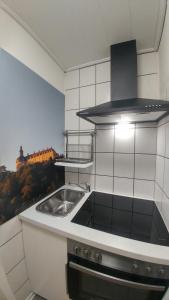巴特維爾東根的住宿－Ferienwohnungen am Kurpark，一间带水槽和炉灶的小厨房