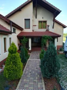 a house with a walkway in front of it at Casa Doina in Baile Felix