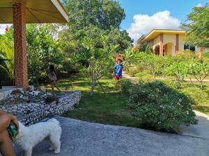 a little boy playing with a dog in a yard at Villa Marquez in Camotes Islands