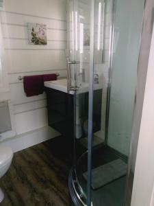 a bathroom with a glass shower and a toilet at Ferienhaus " Silly " am schönen Listersee in Meinerzhagen +18 photos