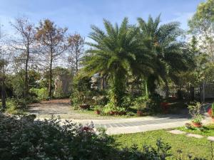 a garden with a palm tree and a house at Xinyue B&B in Fenglin