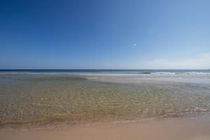 Tidewater Condos on Orange Beach في شاطئ أورانج: شاطئ بجسم ماء به امواج